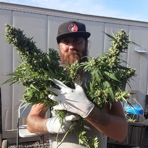 Meet your Posher, Zachary